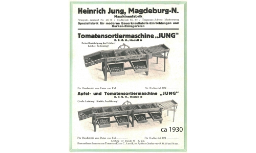 Jung, Magdeburg